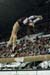 07vsAla3D_0269_CourtneyM