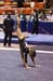 07NCAA1S3D_0214_NikkiC