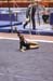 07NCAA1S3D_0248_GraceT