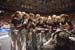 07NCAAF9D_0805