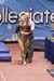 07NCAAF6D_0695_Paige